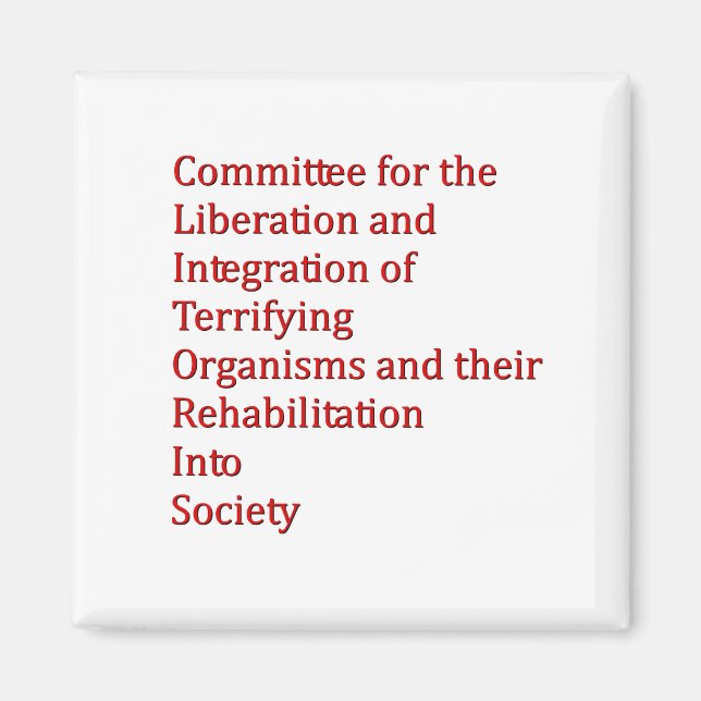 Imã Red Dwarf (Frente)