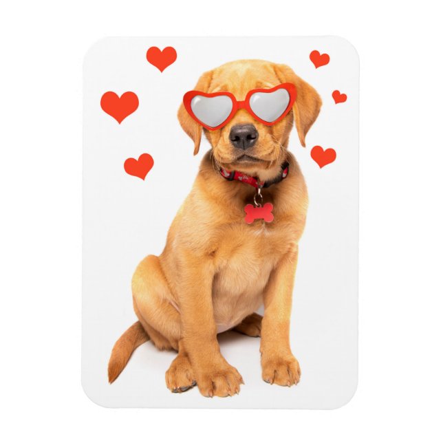Ímã Red Fox Labrador Puppy Love (Vertical)