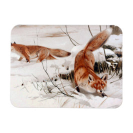 Ímã Red Foxes in the Winter Snow (by Wilhelm Kuhnert)