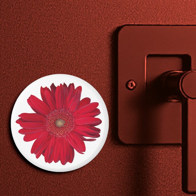 Imã Red Gerber Daisy Fechar Fotografia (3" round magnet)