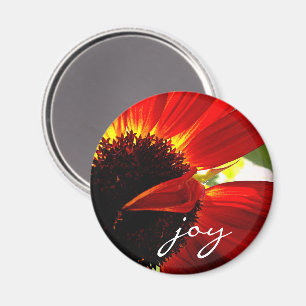 Imã Red Gerbera Daisy Photo Joy Script Bold Modern