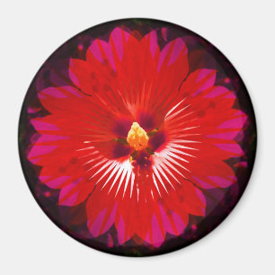Imã Red Hibiscus Flower Kaleidoscope,