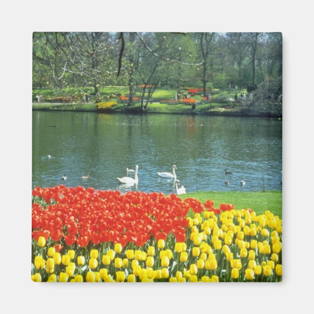 Imã Red Keukenhof Gardens, flores da Holanda (Frente)
