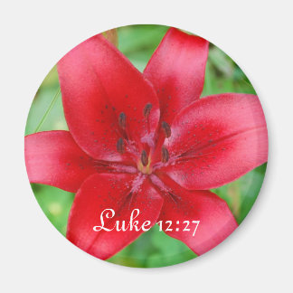 Imã Red Lily Magnet Luke 12:27