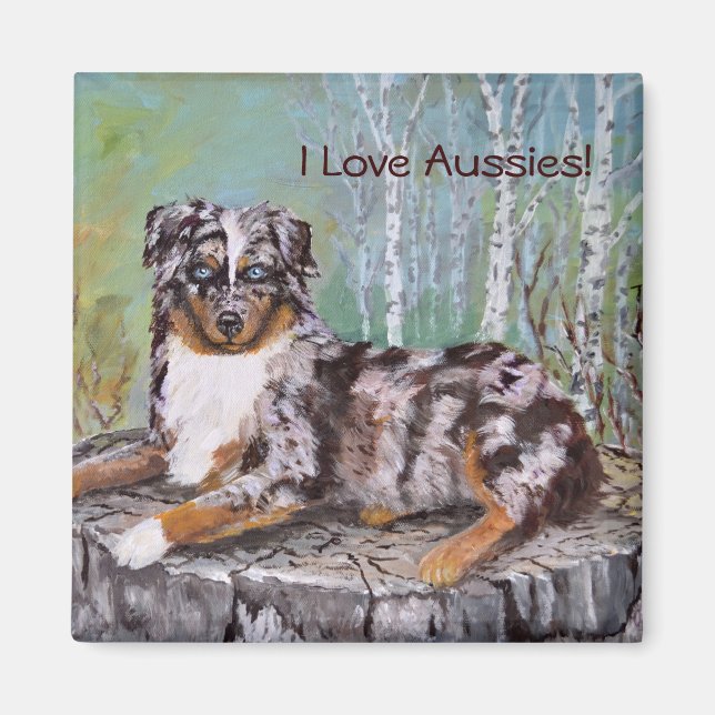 Imã Red Merle Aussie - Linda Flor (Frente)