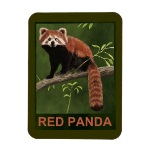 Ímã Red Panda