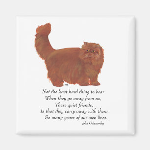 Imã Red Persian Cat Rainbow Bridge