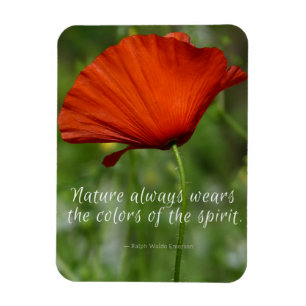 Ímã Red Poppy Emerson Nature Quote Magnet
