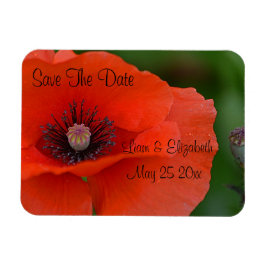 Ímã Red Poppy Formal Salvar Data