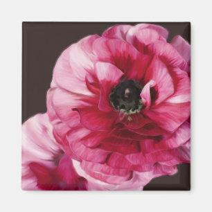 Imã Red Ranunculus