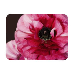 Ímã Red Ranunculus