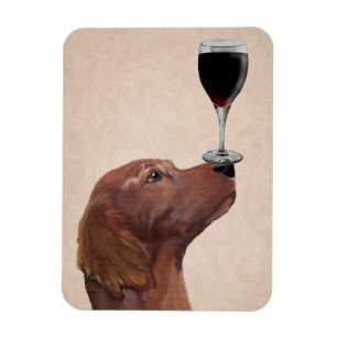 Ímã Red Setter Dog Au Vin 2
