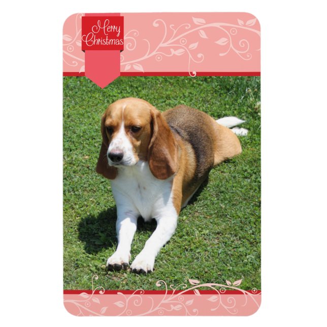 Ímã Red Tab e Flourish Felry Magnet (Vertical)