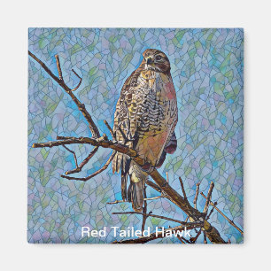 Imã Red Tailed Hawk