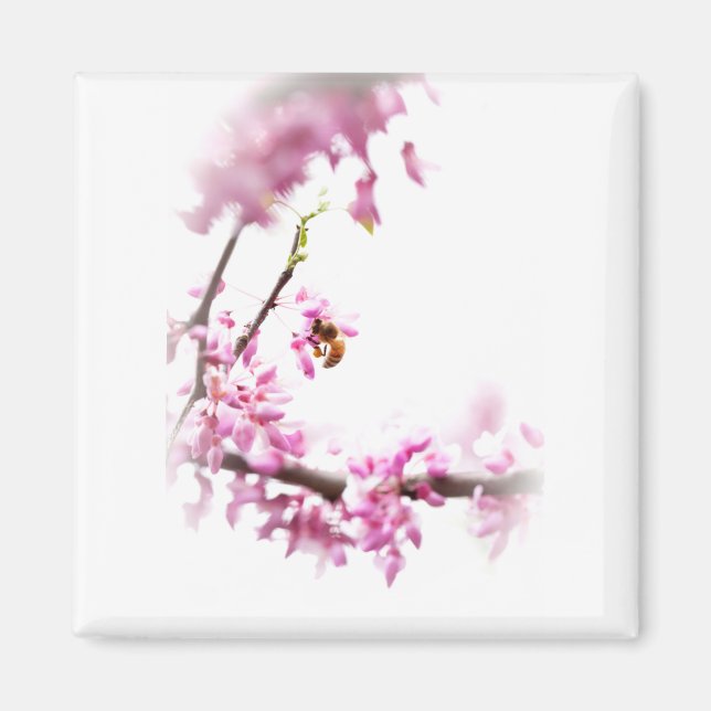Imã Redbud & honeybee-8742 (Frente)