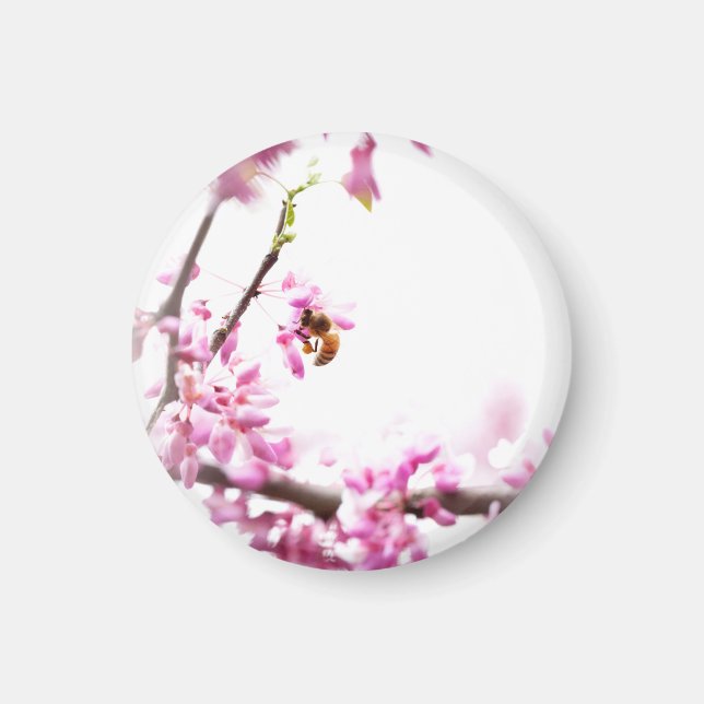 Imã Redbud & honeybee no Springtime (Frente)
