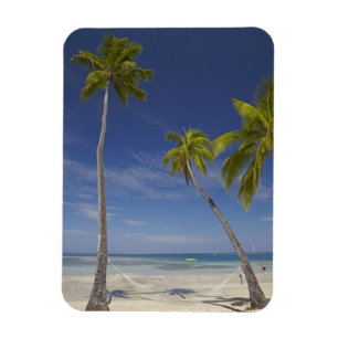 Ímã Rede e palmeiras, Plantation Island Resort