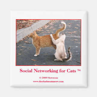 Imã Redes sociais para o ímã de gatos