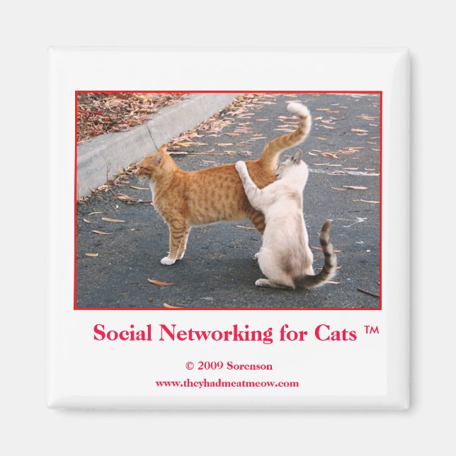 Imã Redes sociais para o ímã de gatos (Frente)