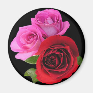 Imã RedPinkTonedRoses2
