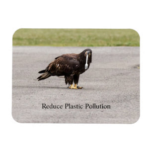 Ímã Reduzir a Poluição Plástica