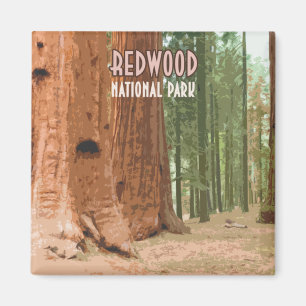 Imã Redwood National Park Califórnia