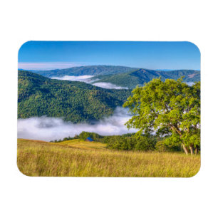 Ímã Redwood National Park, Califórnia