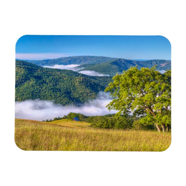 Ímã Redwood National Park, Califórnia (Horizontal)