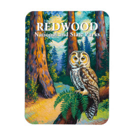 Ímã Redwood National Park Forest Owl Van Gogh Style