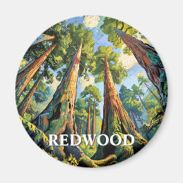 Imã Redwoods National Park California Forest Painting
