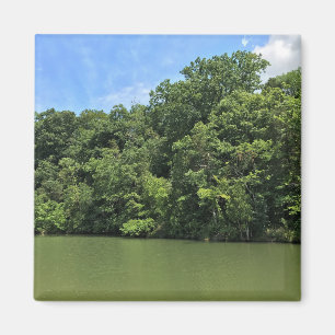 Imã Reed Creek, Wytheville, Virgínia