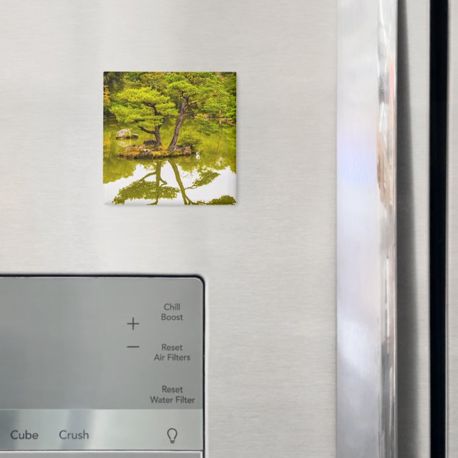 Imã Reflections (In Situ (Fridge))