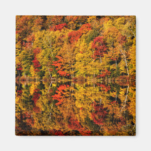 Imã Reflexão de Outono no Russell Pond   New Hampshire