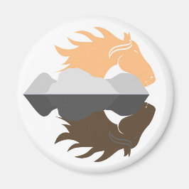 Imã ReflexãoCavalo