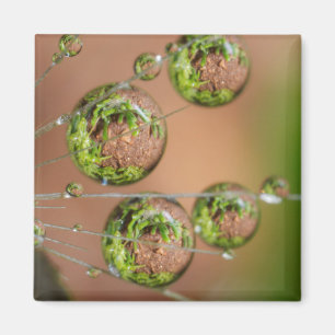 Imã Reflexo da Gota de Água