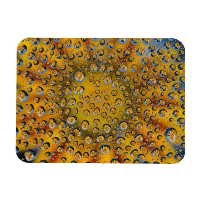 Ímã Reflexo de Largura da flor, Crescent City, (Horizontal)