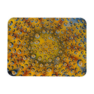 Ímã Reflexo Dew Drop de flor, Crescent City,