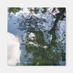 Imã Reflexo no Magnete Sturgeon Pond