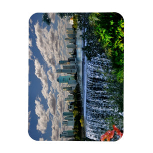 Ímã REFLEXÕES de cachoeiras do rio da onça Brisbane