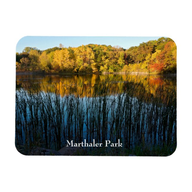 Ímã Reflexões do outono do Marthaler Park (Horizontal)
