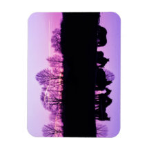 Reflexões Friesianas ao Sol