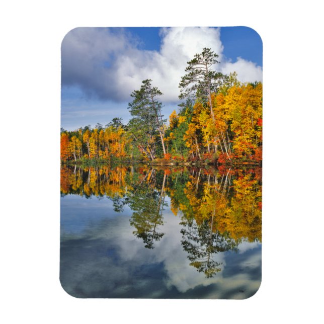 Ímã Reflexos de lago no outono, Maine (Vertical)