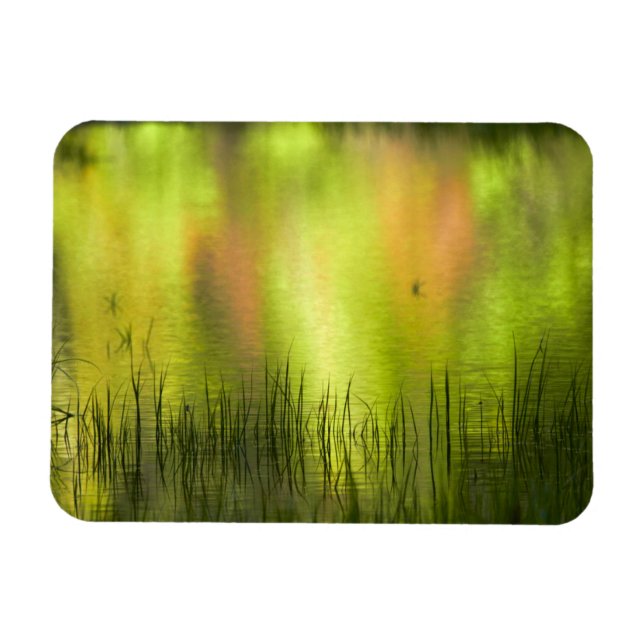 Ímã Reflexos no Lago Espelho | Yosemite (Horizontal)