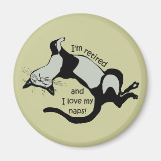 Imã reforma engraçada