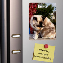 Refrigerador de Foto de Gato de Estimação Personal