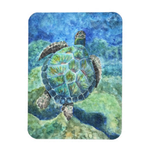 Ímã Refrigeradora Tartaruga Marinha Magnet #2