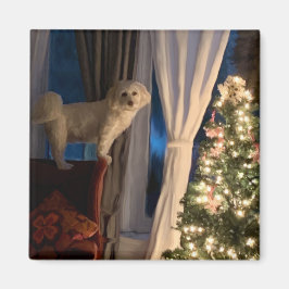 Imã Refrigerator Magnet Waiting for Santa Paws