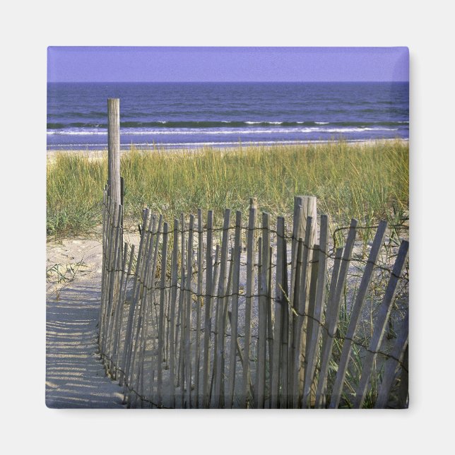 Imã Refúgio Nacional de Vida Selvagem em Chincoteague (Frente)