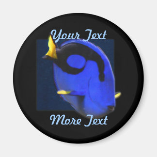 Imã Regal Tang Magnet