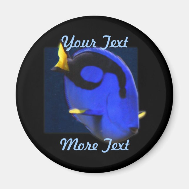 Imã Regal Tang Magnet (Frente)